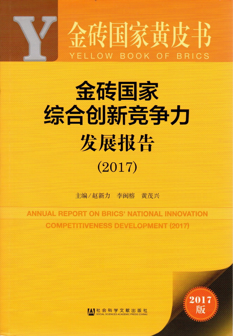 日本女人操操视频金砖国家综合创新竞争力发展报告（2017）